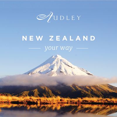 New Zealand 2024 'A4' window poster