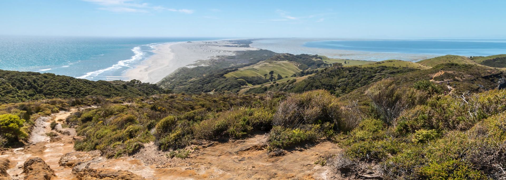 Farewell Spit