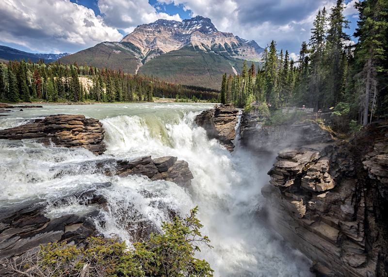 Athabasca Falls, Jasper National Park