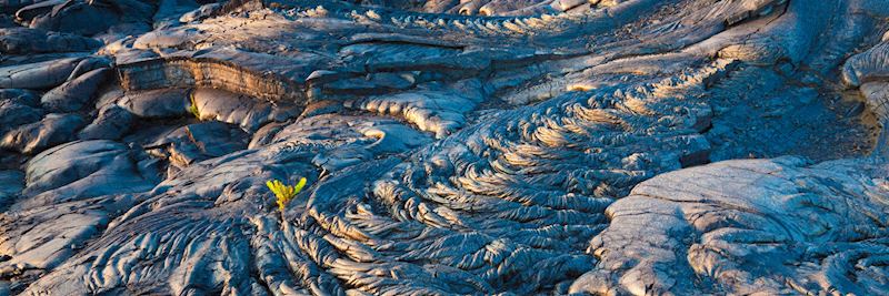 Solidified lava bed, Hawaiʻi Volcanoes National Park