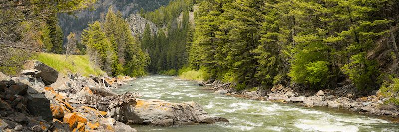 Follow the Gallatin River through Montana