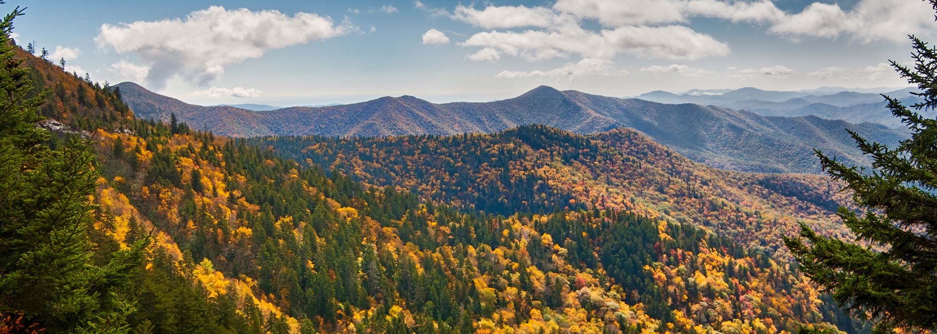Mountains above the Blue Ridge Parkway