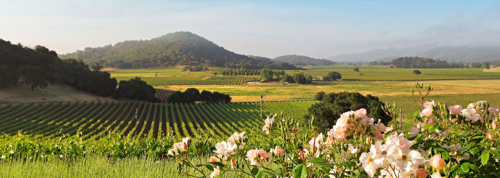 Napa Valley, California