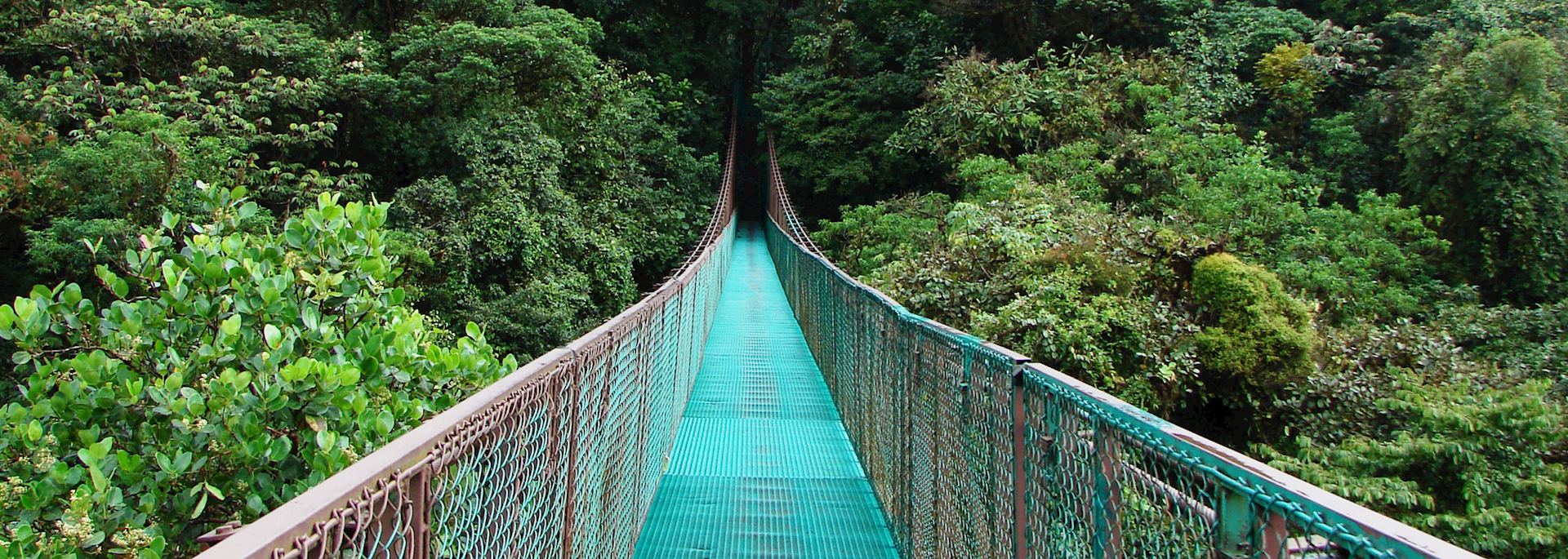 Selvatura Hanging Bridges, Monteverde