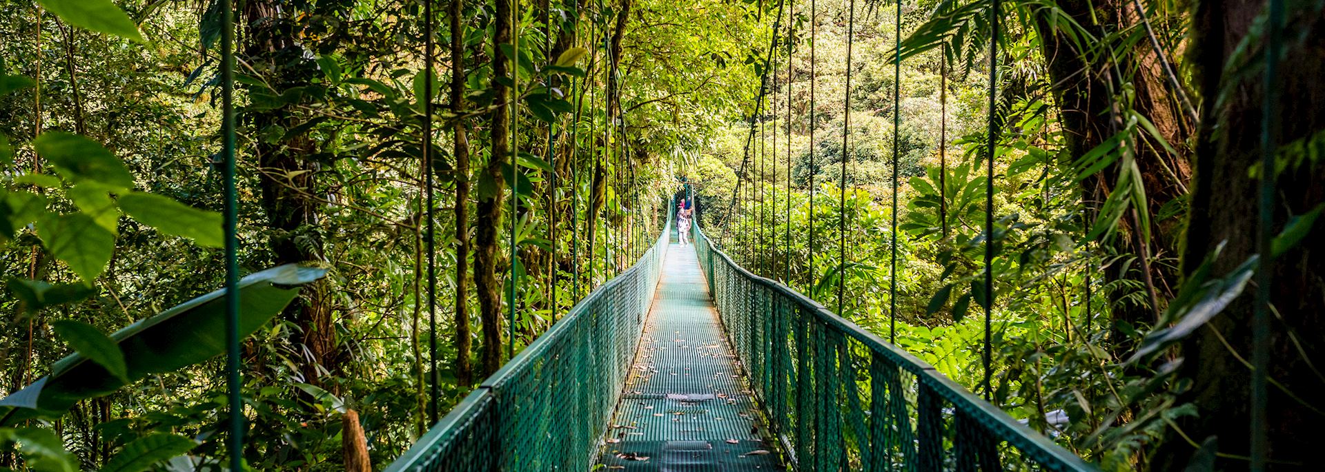 Monteverde Cloud Forest