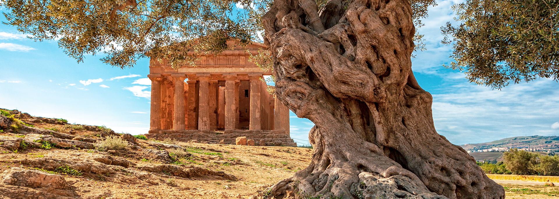 Greek ruins, Agrigento