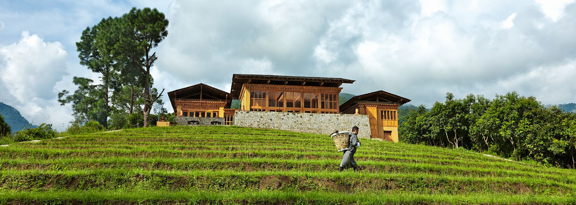 Uma Punakha, Punakha
