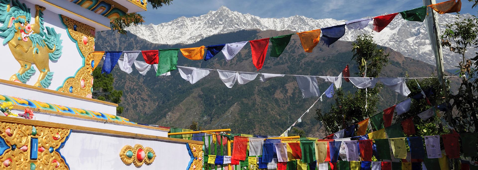 Kalaczakra temples in Dharamsala, India