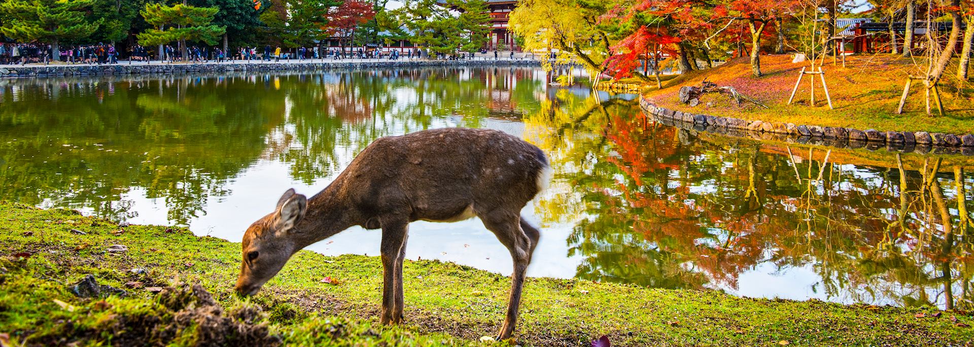 Nara