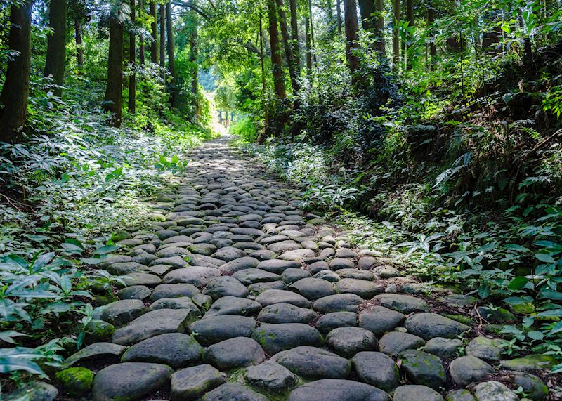 Stone path of the Tokaido Highway