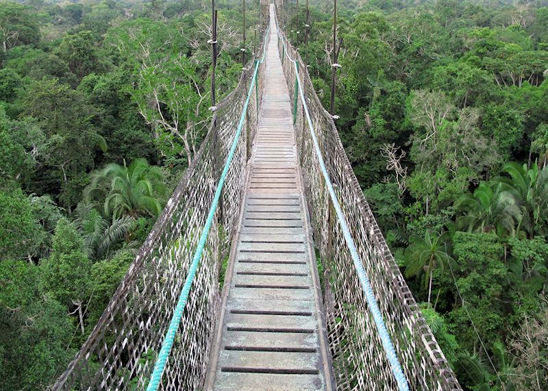 Walkway, Sacha Lodge